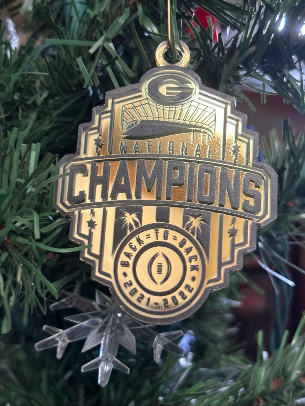 Georgia Bulldogs Back To Back Champions 2021-2022